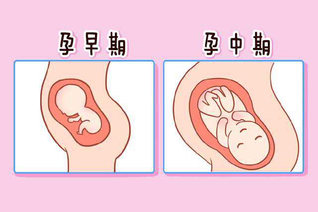 供卵公司优去坤和助孕,上海供卵找坤和助孕