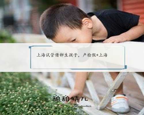 上海试管借卵生孩子，产检假 上海