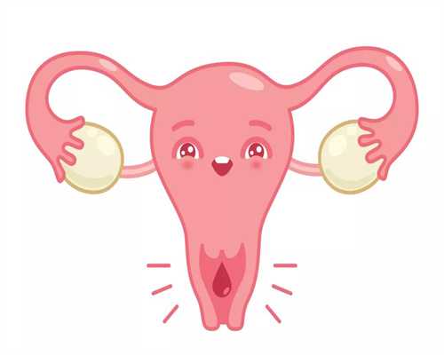 怀孕初期的3个月：胎儿发育的过程及B超所见