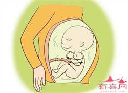 武汉代孕操作流程哪些东西代孕中坚决不能吃？