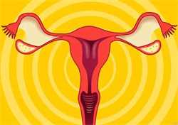 包成功率的代孕公司:月经不调的功血怎么检查呢