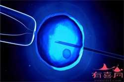 中国可不可以代孕:孕妇能吃河蚌吗？怀孕慎吃河