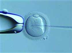 代妈价格表:卵巢早衰能做泰国试管婴儿吗？