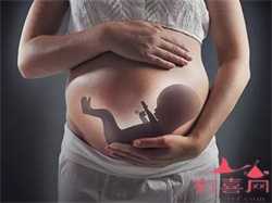 北京代孕中介:卵巢炎易致女性不孕 卵巢囊肿需引