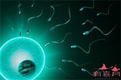 卵巢早衰供卵助孕_抗精子抗体夺走父亲梦