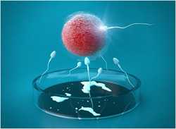 合肥微信找代孕~合肥供卵三代包男孩~子宫畸形能