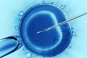 50万能找到代孕吗_生个孩子可以治疗卵巢早衰吗