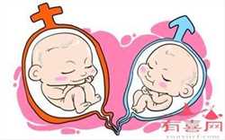 做代孕要多长时间～卵巢功能衰退能借卵怀孕吗