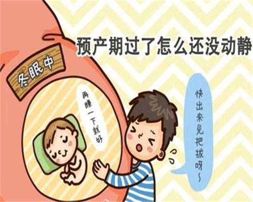 国外代妈合同条款·专业供卵试管婴儿中心