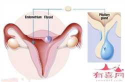 2022年宁波妇儿医院生殖中心可以供卵做试管婴儿吗？