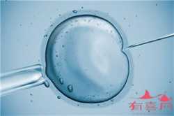 江苏能做供卵试管机构,2022江苏省供卵机构排名，试管供卵助孕攻略参考