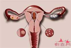 郑州怎么看待代孕,郑州试管婴儿代孕机构名单，附辅助生殖机构名单？