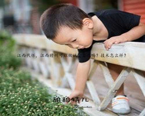 江西代怀，江西赣州可以做试管婴儿吗？技术怎么样？